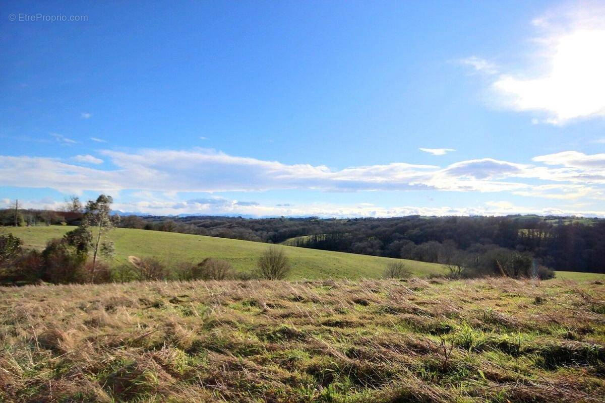 Terrain à OZENX-MONTESTRUCQ