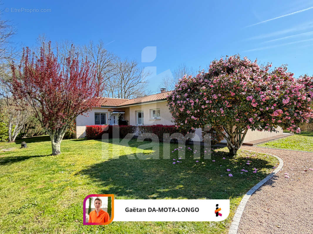 Maison familiale avec dépendances   cadre exceptionnel en lisière de forêt - photo 22