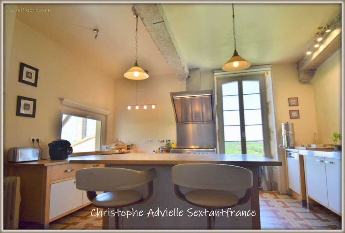 Domaine avec maison d'habitation et piscine, fonds de commerce pension féline et canine, stabulation sur 4 Ha - photo 4