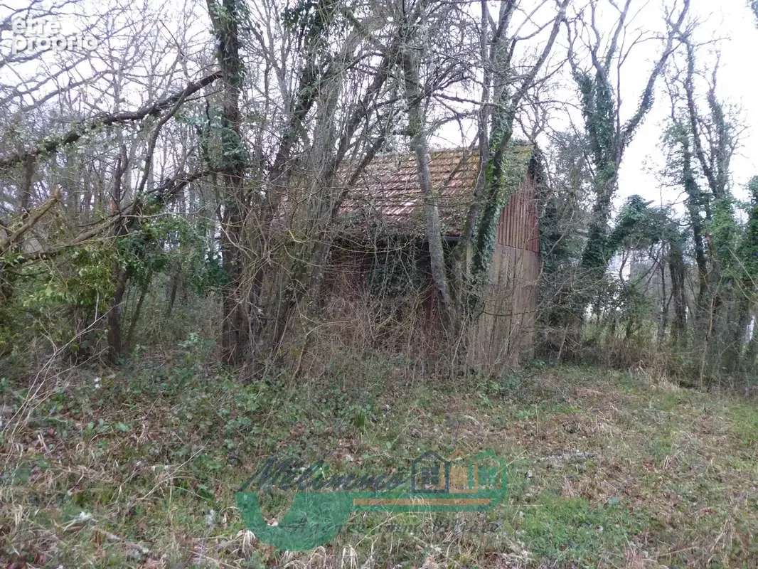 Terrain 30 m² à vendre à Villiers-Saint-Benoit (89130) - photo 1
