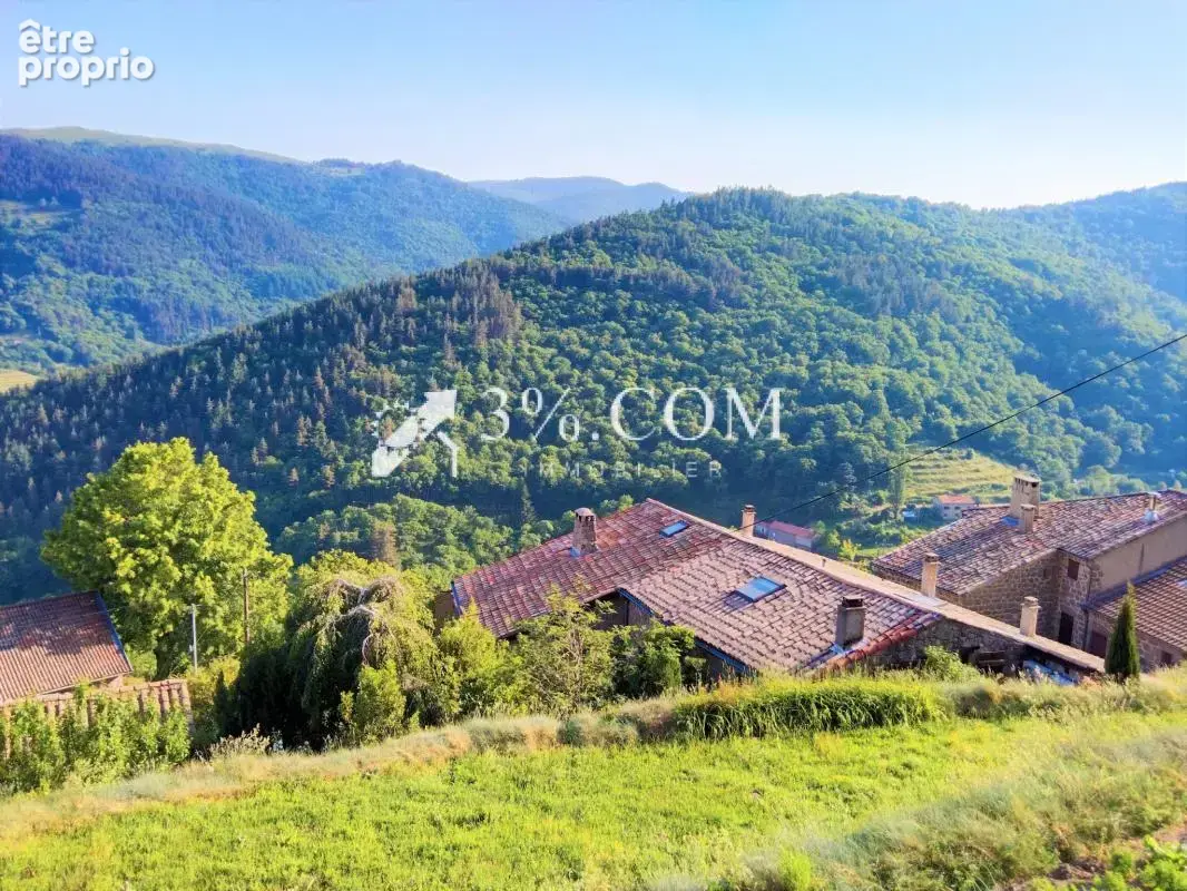 Mas de caractère en pierre de pays de 266m2 - idéal gîte - photo 4