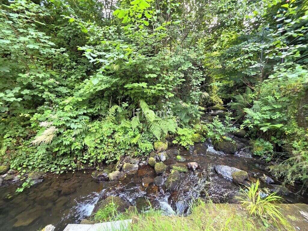 Maison à STORCKENSOHN