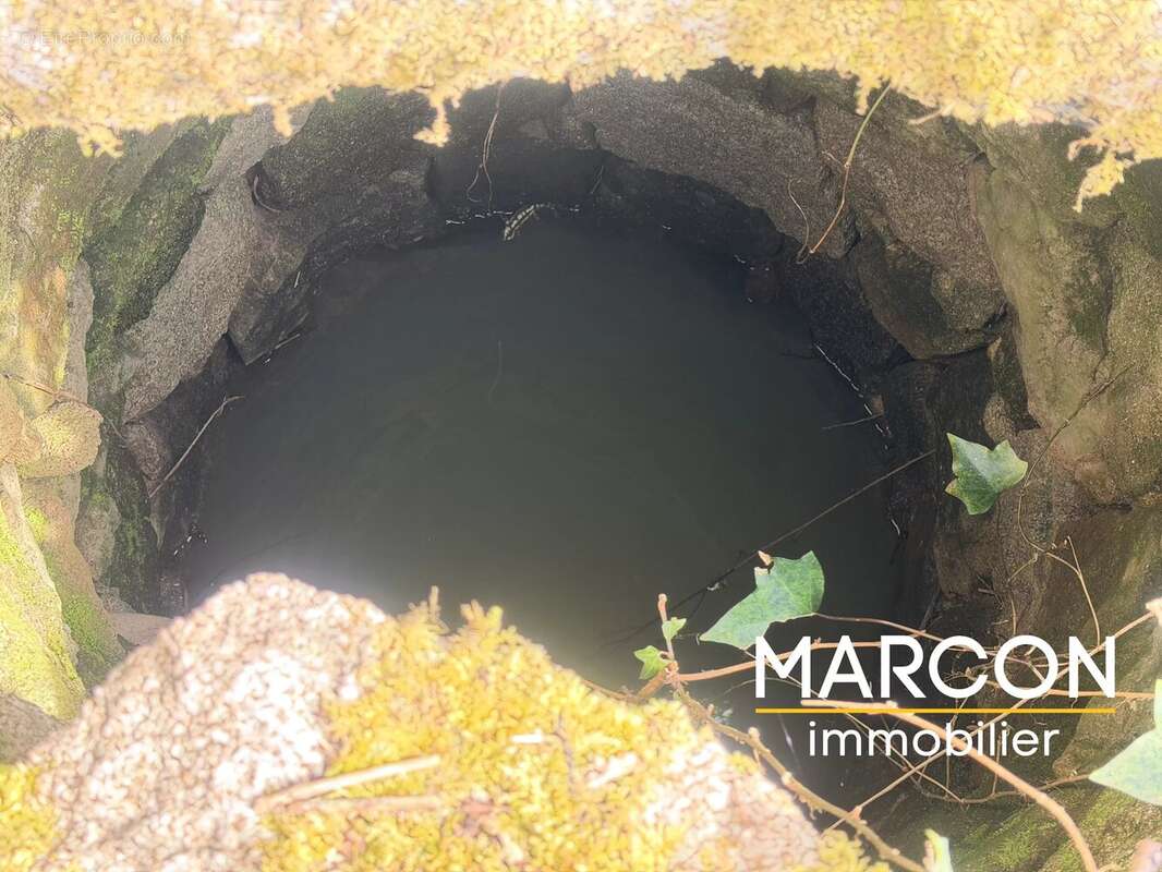 Maison à SAINTE-FEYRE