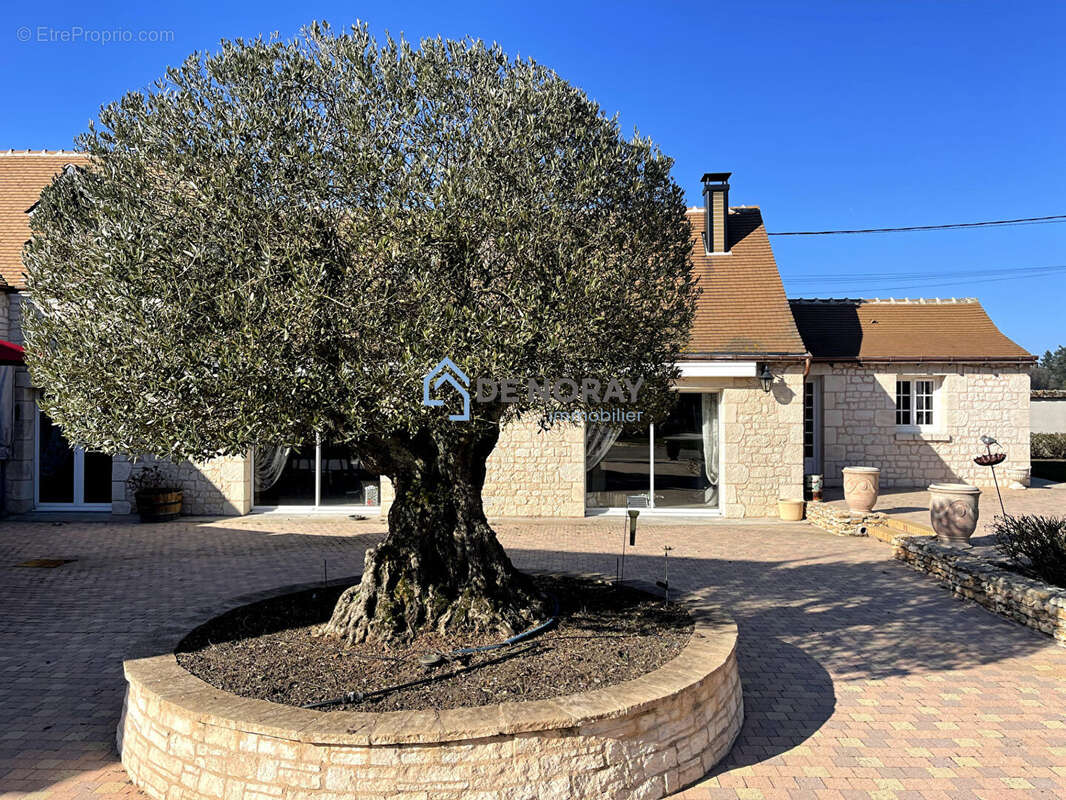 Maison à AMBOISE