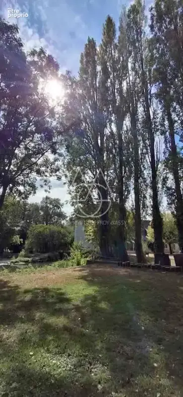 Entre Tours et Amboise, découvrez un moulin du XVIe siècle au cadre exceptionnel sur 3.4ha - photo 7