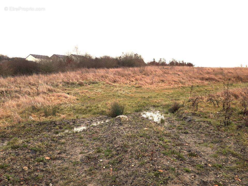 Maison à FAREBERSVILLER