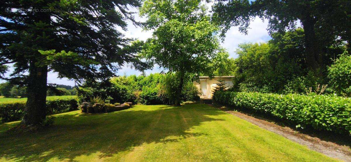Maison en pierres - photo 29