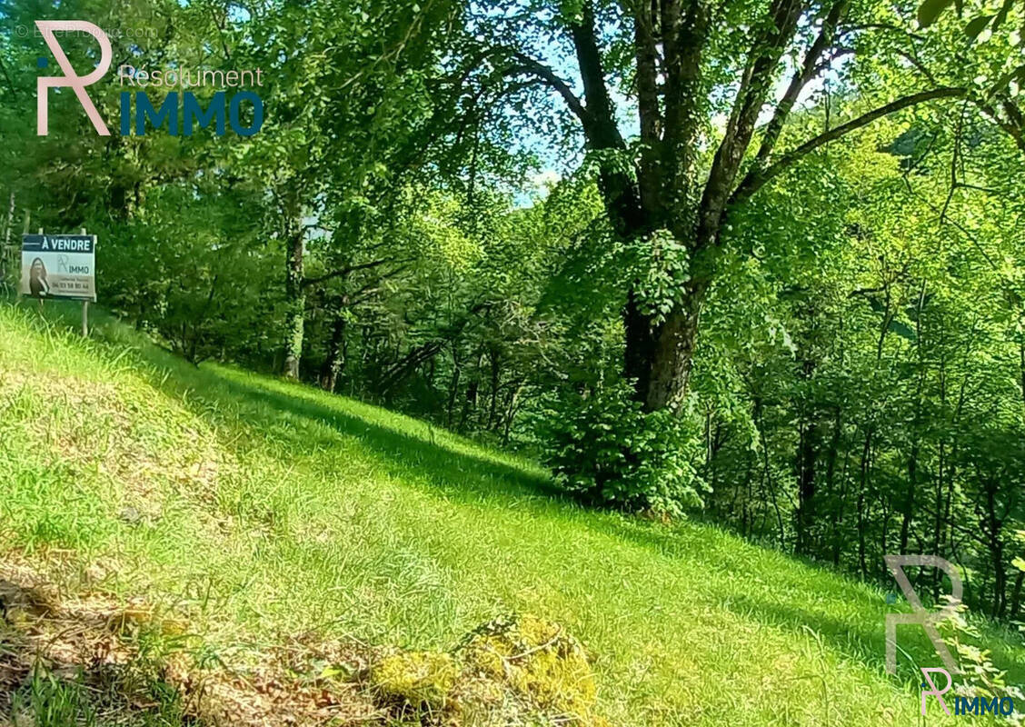 Terrain à OSENBACH