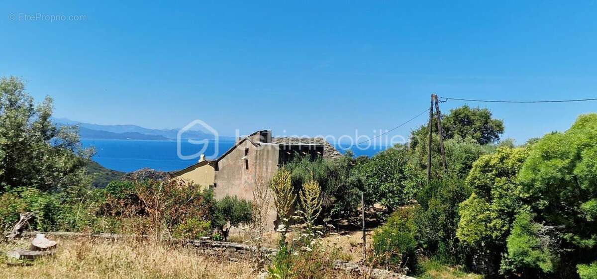 Maison de village Cap Corse - photo 21