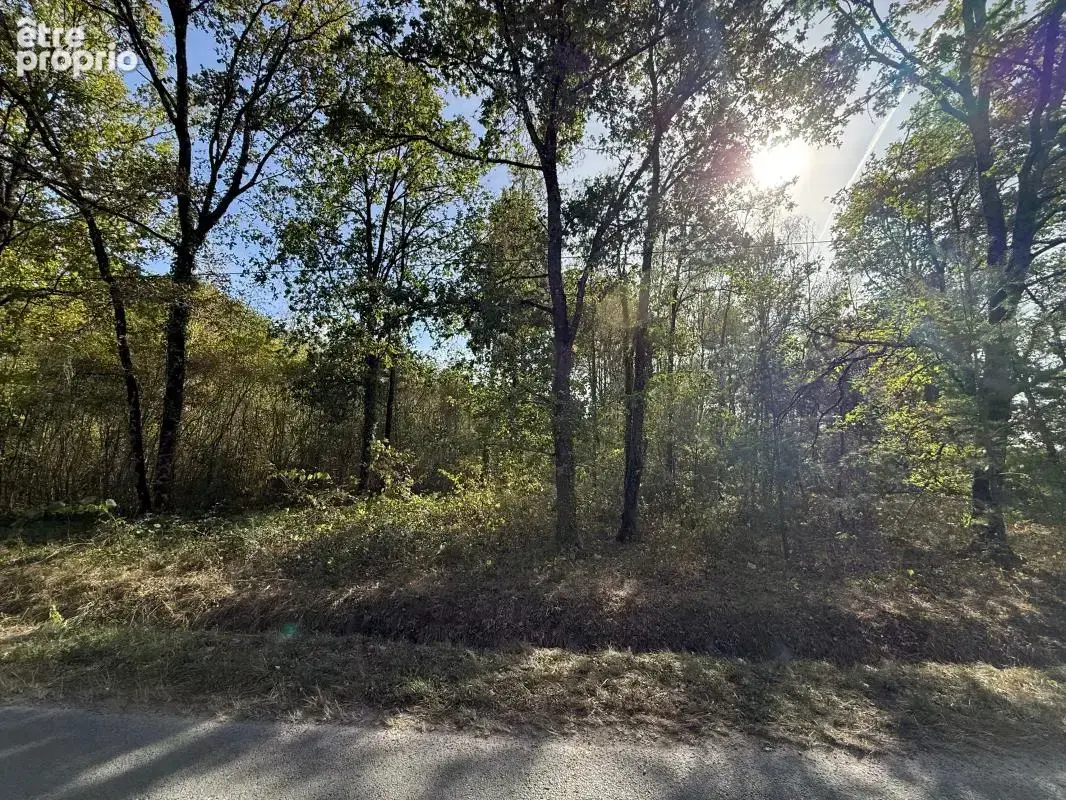 À VENDRE – Terrain boisé au calme - photo 2