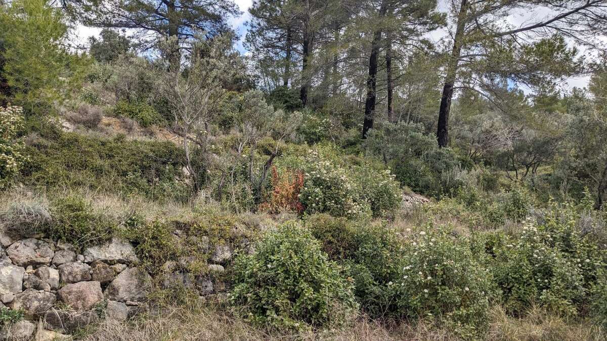 Terrain à CLAVIERS