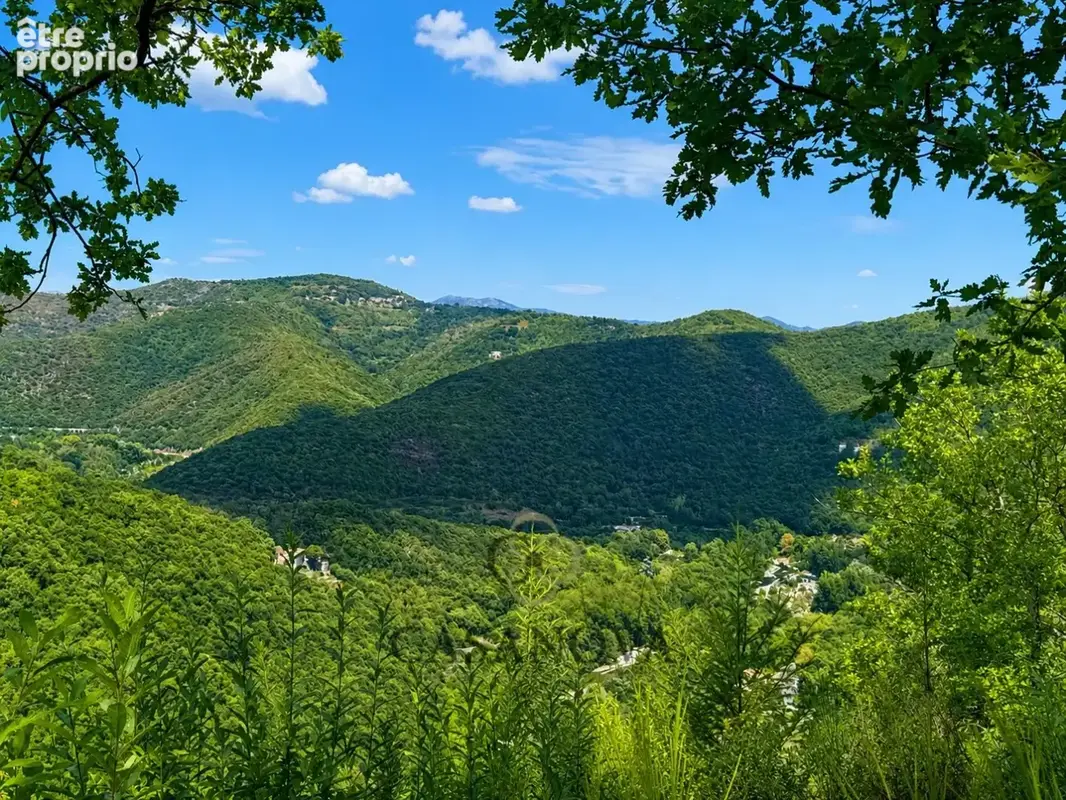 Mas cévenol rénové de plus de 180 m² avec piscine et domaine de plus de 2 hectares - photo 36