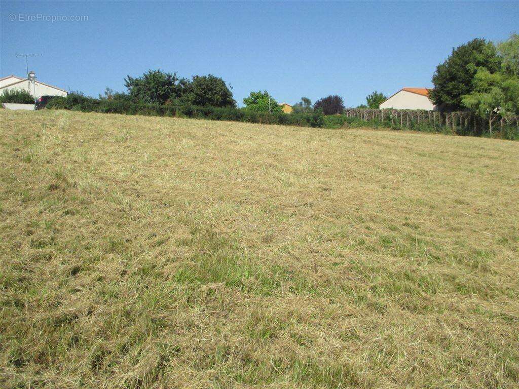 Terrain 2000 m² à La Meilleraie-Tillay  - photo 39
