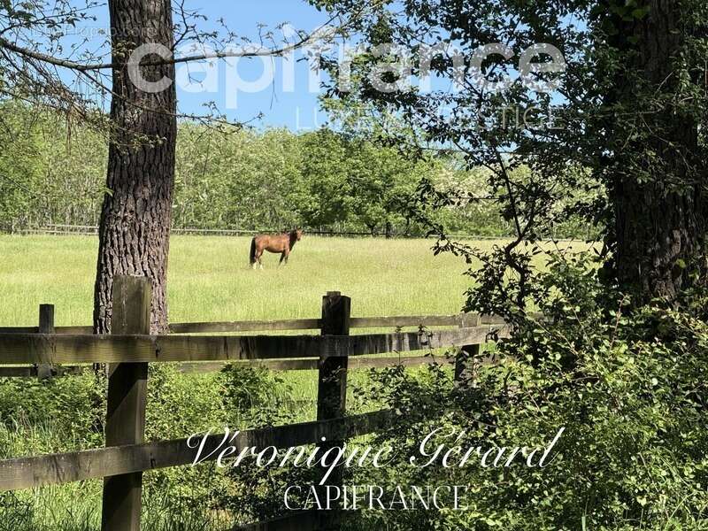 Maison à SALLEBOEUF