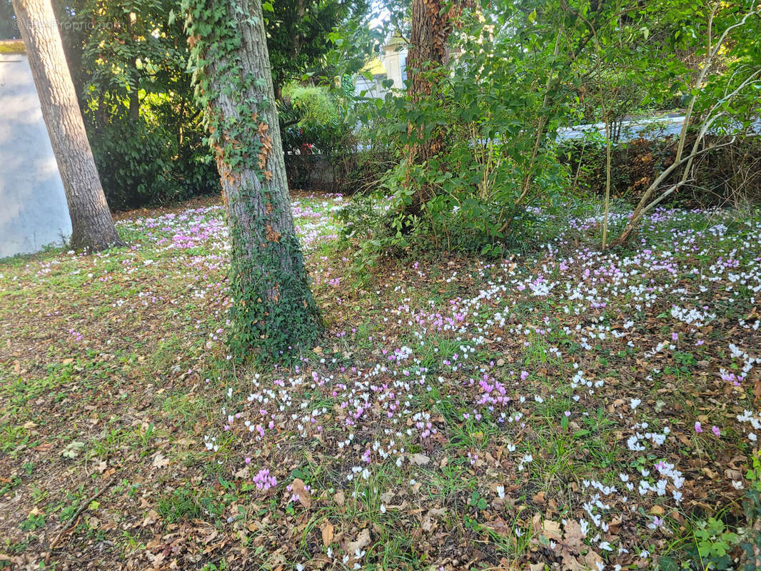Maison à SAINT-AVERTIN