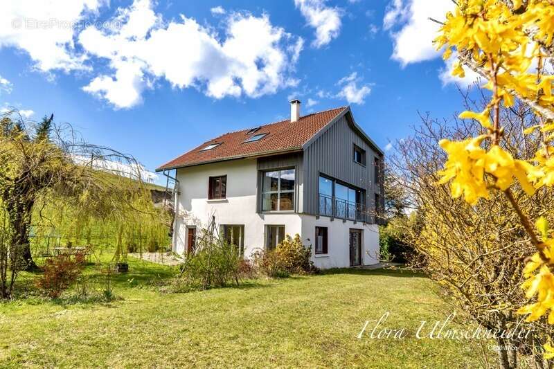 Propriété d'exception avec vue lac et Mont Blanc – 271 m² – DPE C – Ontex - 35 minutes de Chambéry, 40 minutes d’Aix-les-Bains,  - photo 4