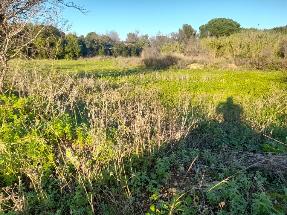 Terrain à SOLLIES-PONT