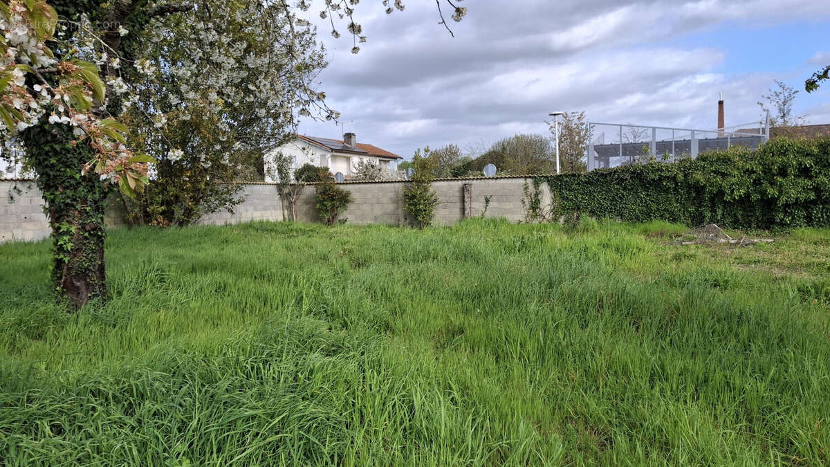 Terrain à AMBARES-ET-LAGRAVE