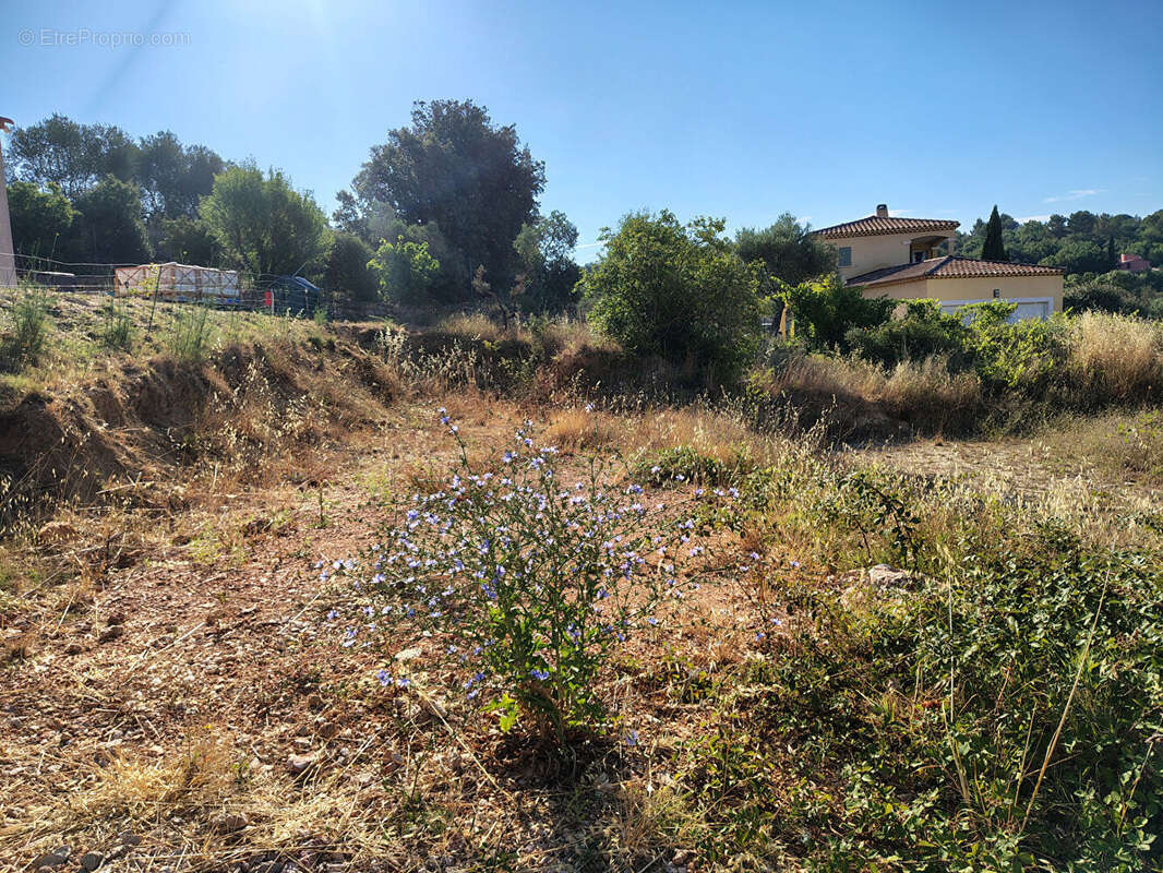 Tavernes, terrain constructible viabilisé de 1000m2 Plein Sud  vue campagne à Tavernes - photo 12