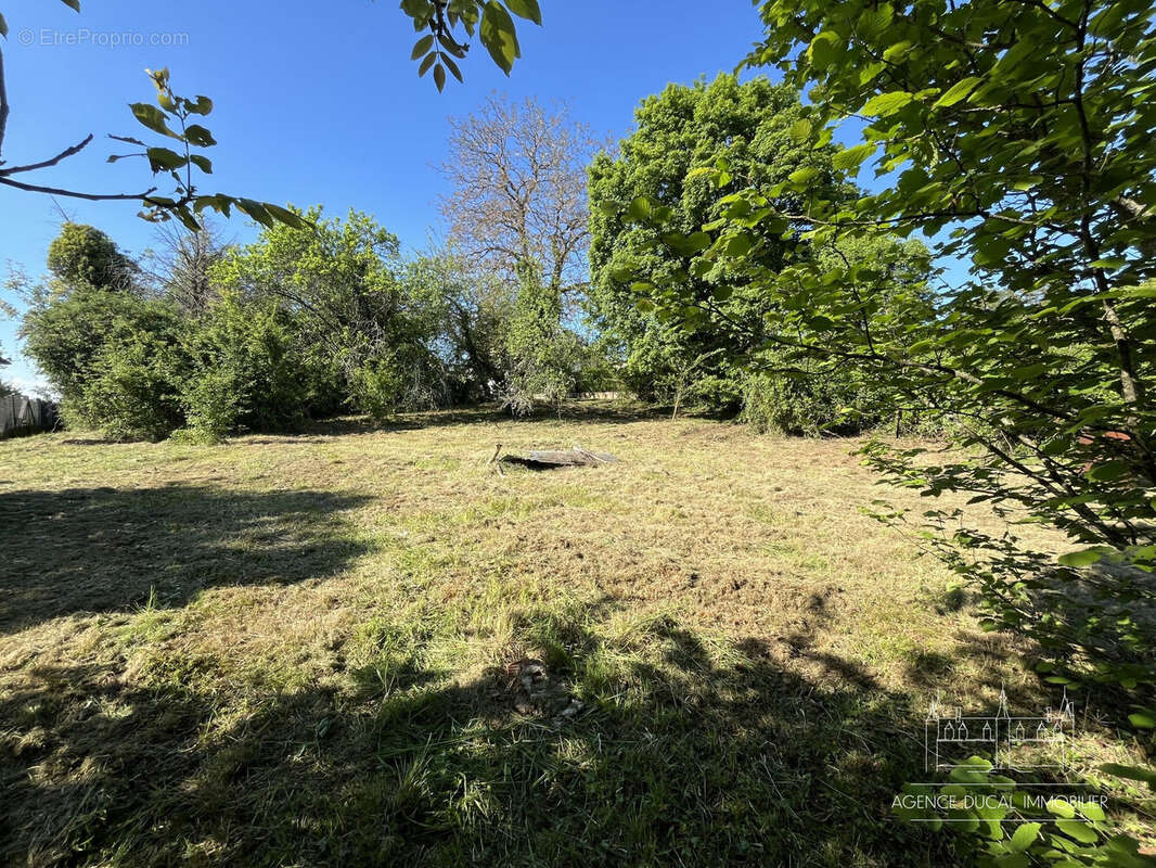 Terrain à SAINT-BENIN-D'AZY