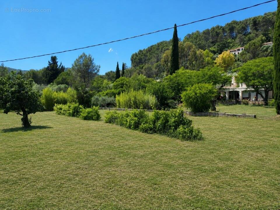 Terrain à SOLLIES-PONT