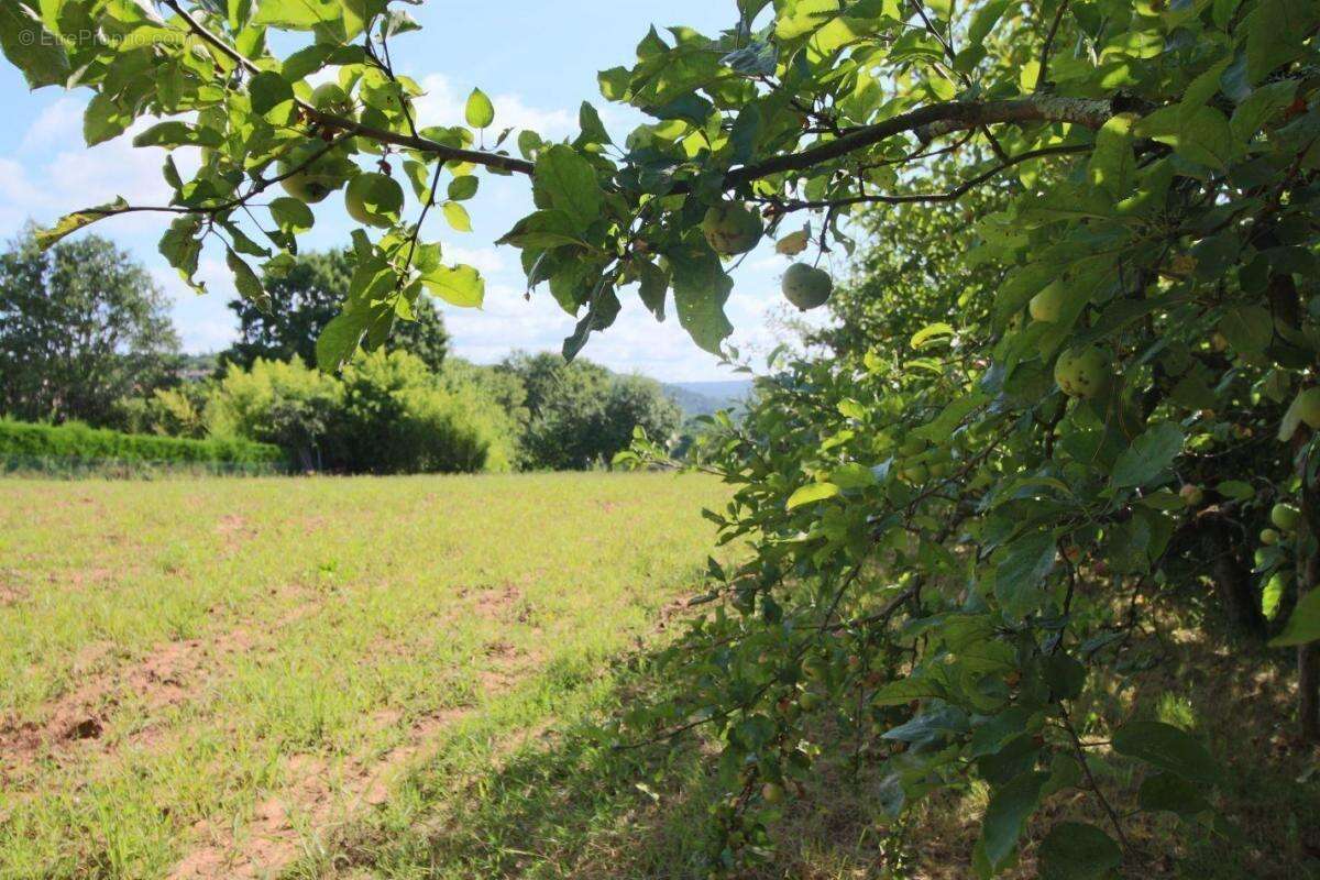 Terrain à PUY-L&#039;EVEQUE