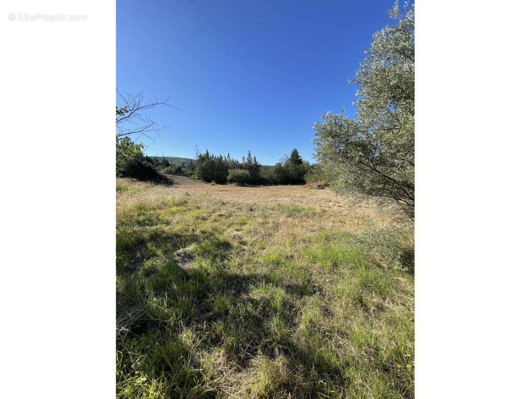 Terrain à BIZE-MINERVOIS