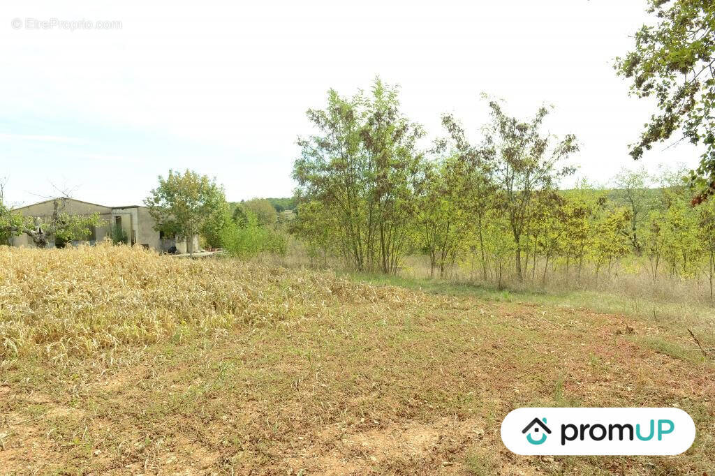 Terrain à FLORESSAS