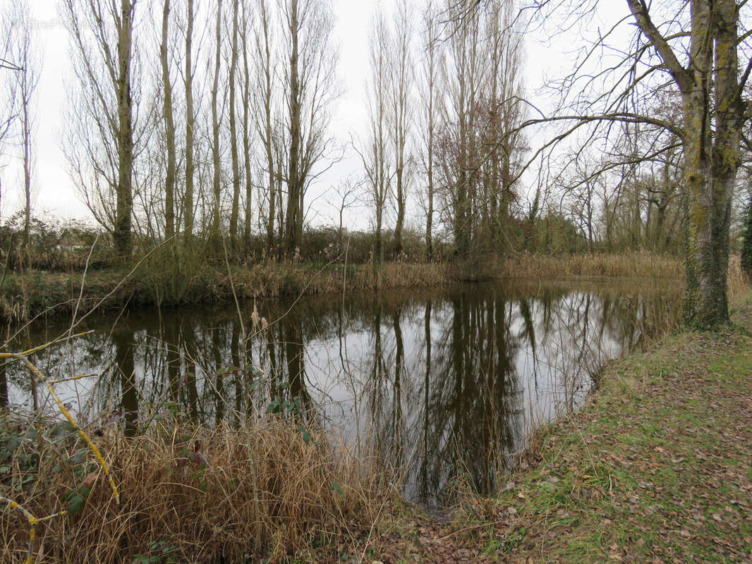Maison à SAINT-MAURICE-SUR-FESSARD