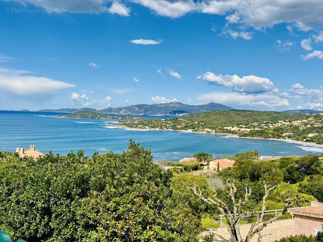 Maison à PIETROSELLA