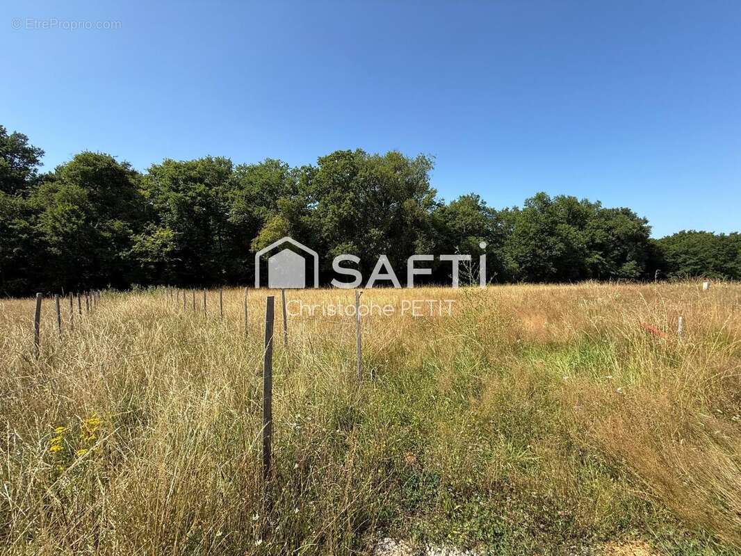 Photo 3 - Terrain à BOULIAC