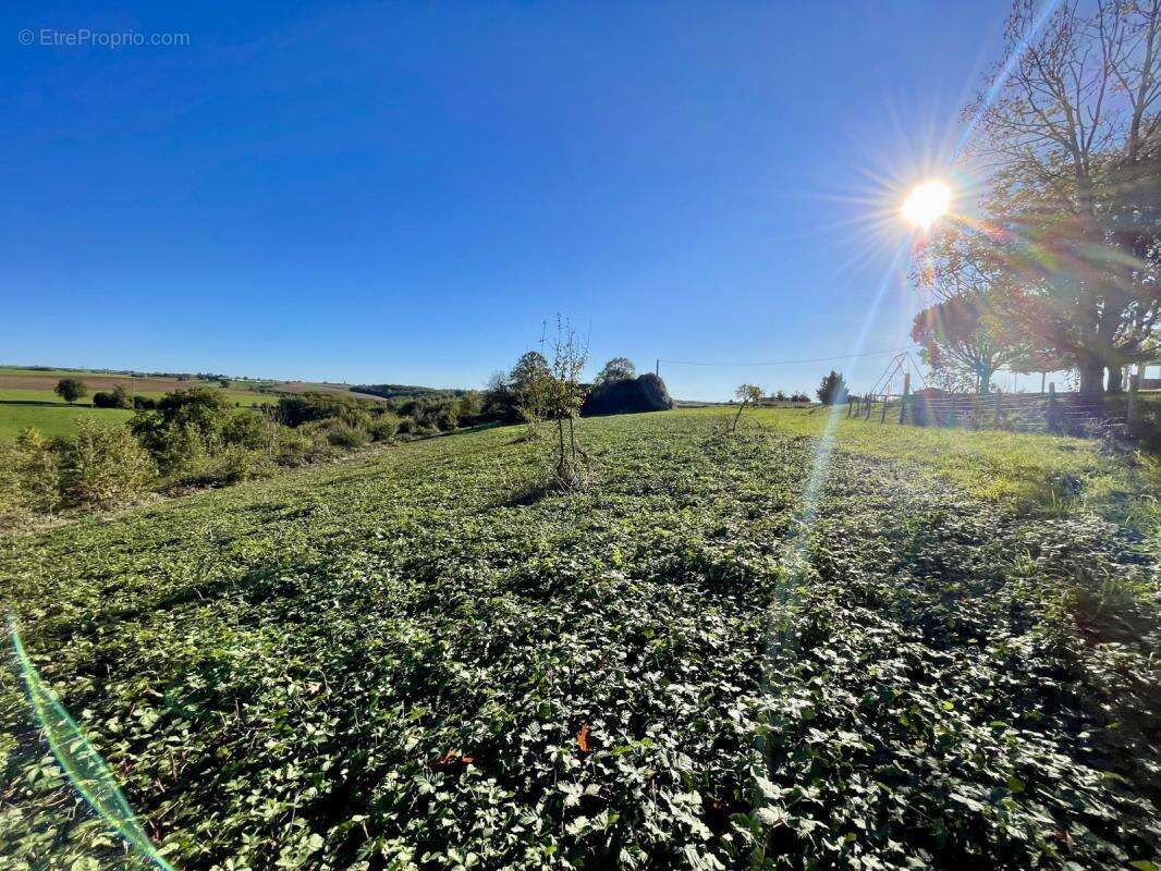 Terrain à BELLEGARDE