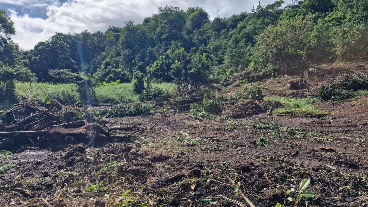 Terrain à LES ABYMES