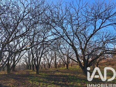 Photo 1 - Terrain à OZON