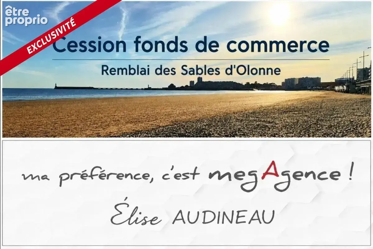 Commerce à LES SABLES-D'OLONNE