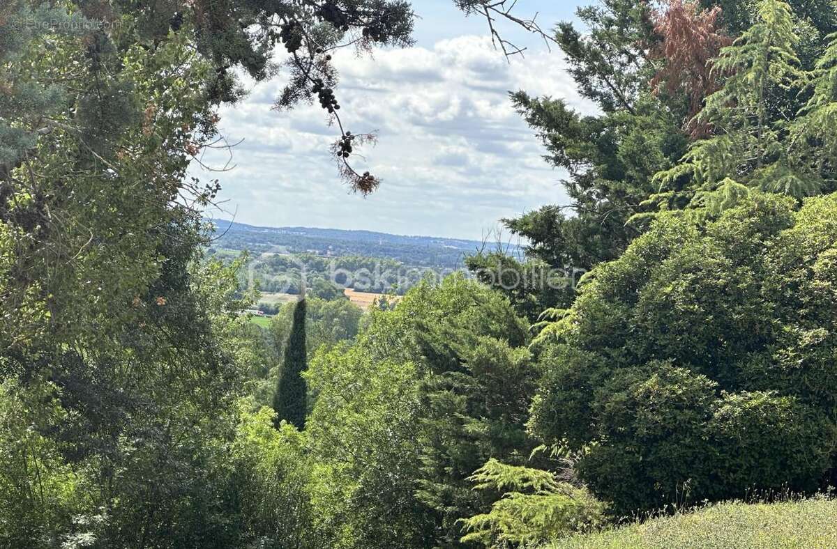 Propriete dans un environnement privilegie- îlot de fraicheur de 1,5 hectare avec vue sur la vallee de la garonne - photo 9