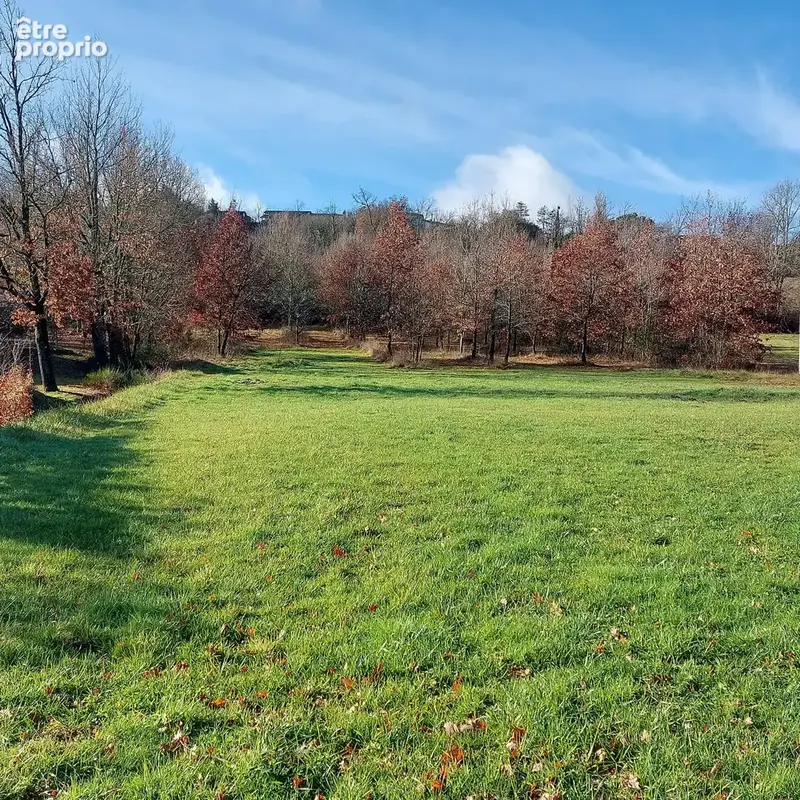 Maison à vendre 7 pièces MONTAUBAN (82) avec hangar de 150m², 6861m² de terrain avec une partie boisée - photo 30