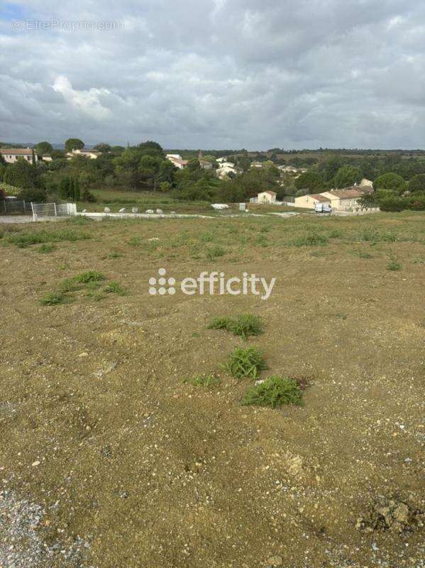 Terrain à SAINT-PAPOUL