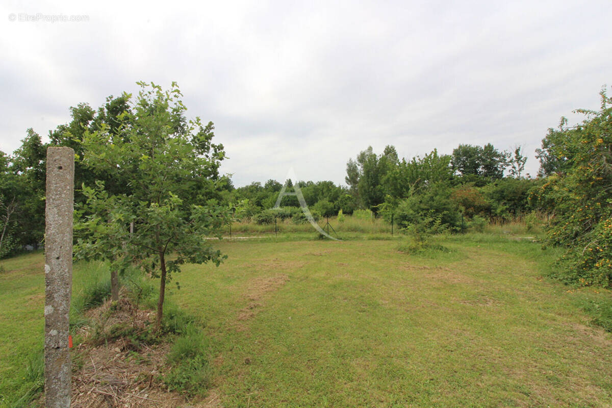 Terrain à MONTAUBAN