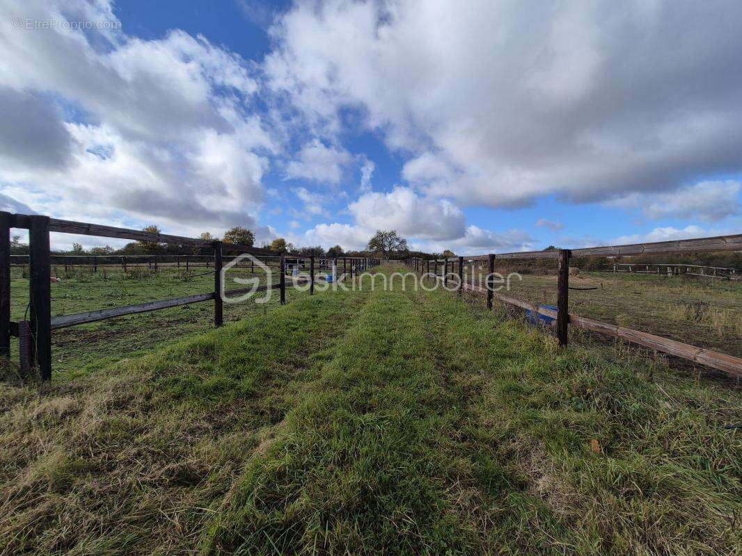 Maison à VILLIERS-AU-BOUIN