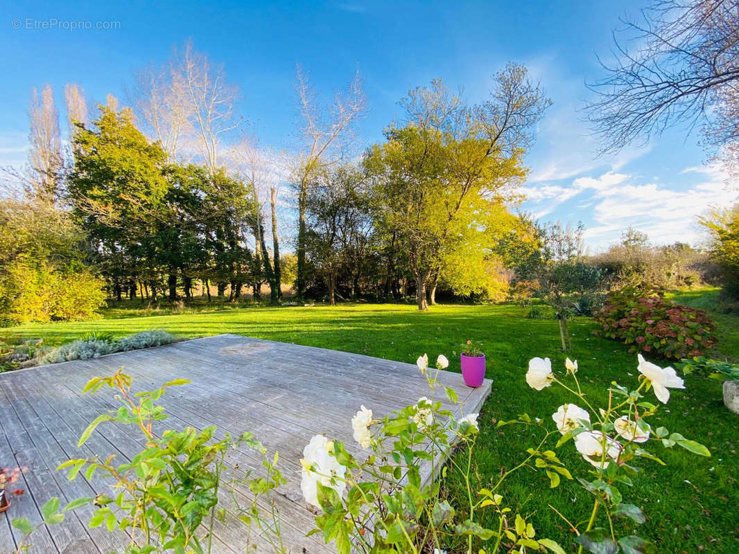 IMG_4766 - Maison à LOCTUDY