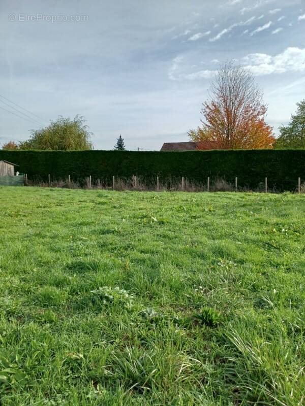 Terrain à COURCEBOEUFS