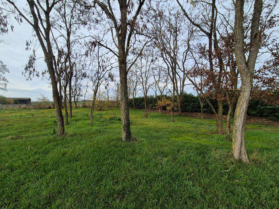Terrain La Chapelle Saint Martin En Plaine - photo 5