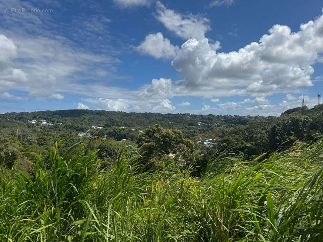 Terrain à FORT-DE-FRANCE