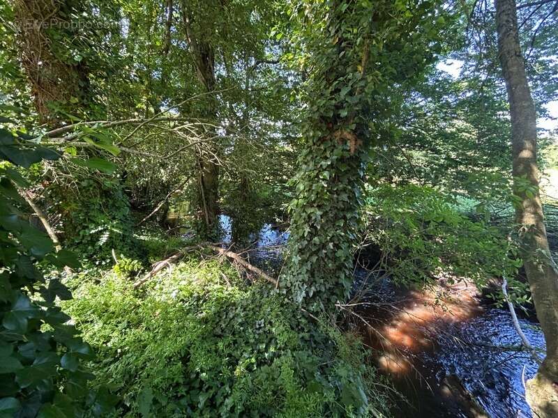 Maison à LUSSAC-LES-EGLISES