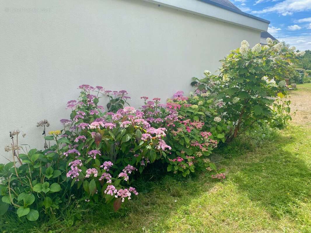 Maison 235 m² à Joue-Les-Tours  - photo 7