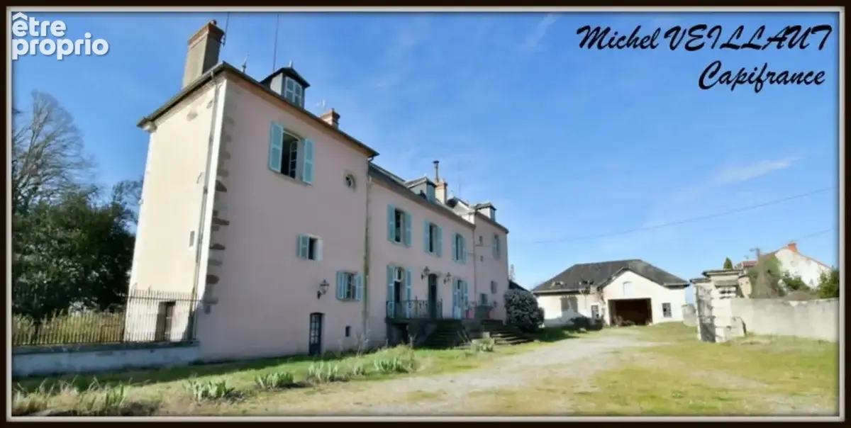 Propriété à vendre avec bâtisse de 15 pièces, 2 gîtes, terrain 7390 m², VILLENEUVE SUR ALLIER (03) - photo 2