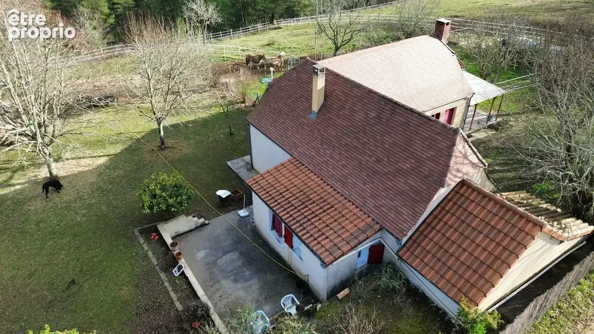 Maison et gite à Plazac, Périgord noir. - photo 6