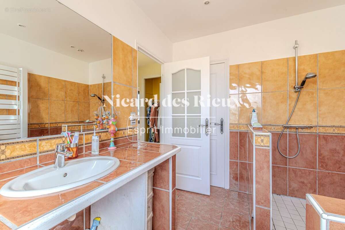 Maison 260 m² à Feytiat  - photo 3