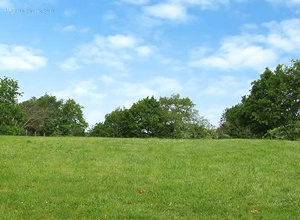 Terrain à PARCAY-MESLAY